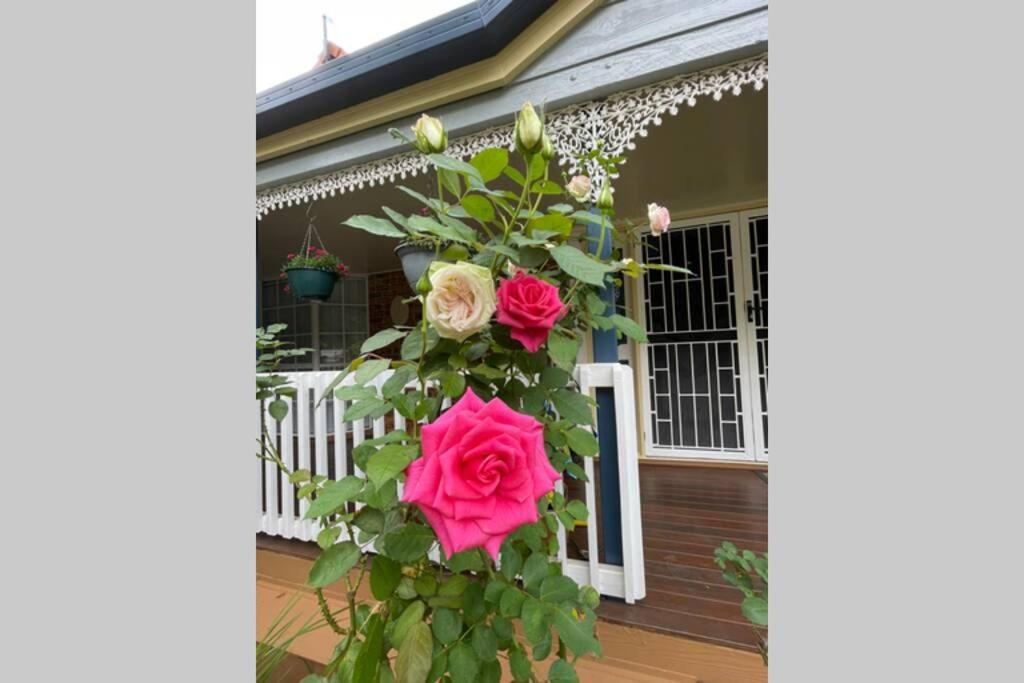 Villa Mountain Living With Ocean Views Mount Tamborine Exterior foto